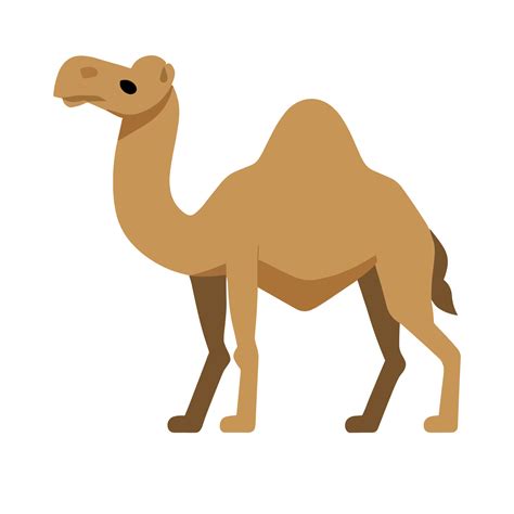 camel camle|Camel.com